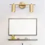 BOKT Flush Mount Ceiling Light 2 Heads Golden Track Lighting Fixture Modern Adjustable Ceiling Spotlight for Bedroom Living Room (2 Lights)