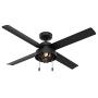 HUNTER 50336 Spring Mill Indoor / Outdoor Ceiling Fan with LED Lights and Pull Chain Control, 52'', Matte Black