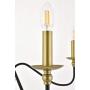 Elegant Lighting Rohan Collection 6 Light Chandelier in Matte Black Finish - 36''D x 19''H