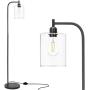 Congratsu Industrial Floor Lamp with Hanging Glass Shade Farmhouse Indoor Pole Light with Edison E26 Base Vintage Rustic Standing Tall Lighting for Living Room Bedroom Office - Black