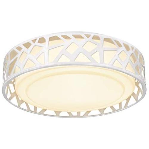 Flush Mount Light Fixture, VICNIE 12 inch 15W 1100 Lumens LED Ceiling Lights, Dimmable 3000K Warm White, ETL Listed for Kitchen, Hallway, Bedroom, Stairways (Metal Body and Acrylic Shade)