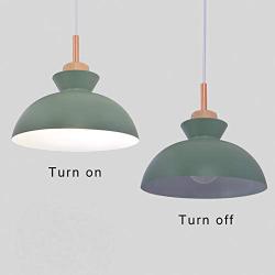 STGLIGHTING Wooden Socket Pendant Light with 15ft Plug-in UL On/Off Dimmer Switch Cord Macaron Green Lampshade Light Fixtures Nordic Minimalist Loft Style Lamps for Dining Room Bulbs Not Included