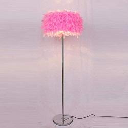 HGDD Cute Plush Feather Floor Lamp Modern Romantic Childrens Gift Feather Vertical Floor Lamp Living Room Bedroom Bedside Reading Floor Lamp E27 Pink Chandeliers (Color : Pink)
