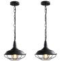 Black Industrial Pendant Lighting 2 Pack D10.23'' Vintage Farmhouse Pendant Light Fixtures with Metal Wire Cage, Retro Adjustable Chain Cage Hanging Light for Kitchen Barn Hallway Porch Bar Stairs Black Industrial Pendant Lighting 2 Pack D10.23'' Vintage Farmhouse Pendant Light Fixtures with Metal Wire Cage, Retro Adjustable Chain Cage Hanging Light for Kitchen Barn Hallway Porch Bar Stairs
