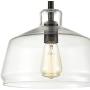 EUL Vintage Metal Glass Ceiling Light 1-Light Kitchen Pendant Lighting,Oil Rubbed Bronze Finish