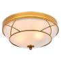 Loclgpm Gold Finish Flush Mount Ceiling Light, 2 Light Chandelier Fixture with Glass Shade for Living Room, Dining Room, Bedroom, Kitchen, Hallway