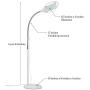 Brightech LightView Pro - Full Page Magnifying Floor Lamp - Hands Free Magnifier with Bright LED Light for Reading - Flexible Gooseneck Holds Position - Standing Mag Lamp