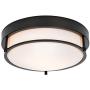 Berliget 12 Inch Modern 2 Lights Ceiling Lighting Metal Industrial Black Flush Mount Ceiling Light, Ceiling Light Fixture for Kitchen, Bedroom, Laundry, Living Room, Hallway