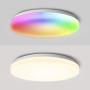 Smart Ceiling Light Flush Mount, Wixann Music Sync Led WiFi Morden Ceiling Light Fixture Work with Alexa Google Home, 2400LM 2700-6500K Ceiling Lamp for Bedroom Living Room Dining Room,16 Inch 24W