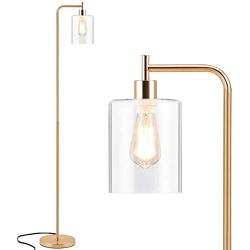 Tall LED Floor Lamp, Acaxin Modern Standing Lamp with Hanging Glass Shade and Bulb, Gold Farmhouse Indoor Pole Simple Floor Lamp, Industrial Reading Light for Living Room, Bedroom, Office, Home Decor