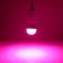 KINUR LED NEON Pink Light Bulbs,3W (25W 40W Equivalent) UL Listed A15 e26 Base LED Pink Sleep Lights, Porch, Outdoor, Home Lighting, Holiday Lighting, Refrigerator Light Bulb 2 Pack