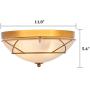 Loclgpm Gold Finish Flush Mount Ceiling Light, 2 Light Chandelier Fixture with Glass Shade for Living Room, Dining Room, Bedroom, Kitchen, Hallway