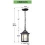 BEEZOK Outdoor Pendant Light - Exterior Hanging Lamp, Matt Black Water Rippled Glass Ceiling Lighting Fixture for Porch Patio Entryway