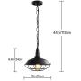 Black Industrial Pendant Lighting 2 Pack D10.23'' Vintage Farmhouse Pendant Light Fixtures with Metal Wire Cage, Retro Adjustable Chain Cage Hanging Light for Kitchen Barn Hallway Porch Bar Stairs Black Industrial Pendant Lighting 2 Pack D10.23'' Vintage Farmhouse Pendant Light Fixtures with Metal Wire Cage, Retro Adjustable Chain Cage Hanging Light for Kitchen Barn Hallway Porch Bar Stairs