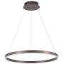 Diborui Ring Pendant Light Modern Round Shape Ceiling Light Fixture Adjustable Led Flush Mount Chandelier with 1 Ring for Bedroom, Living Room, Dining Room, Kitchen, White Light