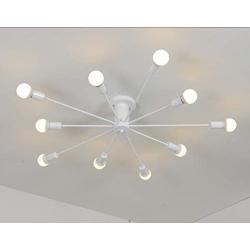 RUXUE Modern Flush Mount Ceiling Light 10 Lights Fixure for Kitchen Farmhouse Dining Room Barn Living Room