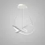 LightInTheBox Modern Chic LED Ring Chandelier Ceiling Pendant Light Hung Light Painting Lamp Fixture for Living Room Bedroom Dinning Room (Dimmable with Remote Control)