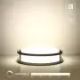 LE LED Flush Mount Ceiling Lights, 10 inch Brushed Nickel Ceiling Light Fixture Dimmable, 1200lm 16W (120W Equivalent) Ceiling Lamp for Kitchen, Bedroom, Laundry, Living Room Hallway, 4000K White