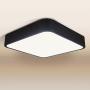 bedee 24W Ceiling Light Fixture Flush Mount, 12 inch Square LED Ceiling Lights, 5000K Black Ceiling Lamp for Bedroom, Kitchen, Bathroom, Hallway, Living Room, 85 Ra+, 2040 Lumen, Daylight White