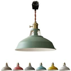 STGLIGHTING Juno Track Pendants Lighting Iron Art Iron Warm Green Decoratefor Instant Pendant Light for Show Window Coffee Shop Customizable Track Lighting Bulbs Not Included