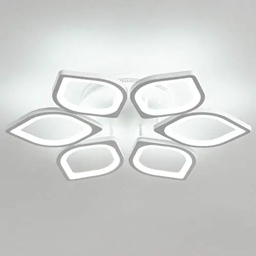 Jaycomey Close to Ceiling Light,LED Flush Mount Ceiling Lamp,Morden LED Ceiling Light for Living Room Bedroom,Cool White/60W