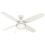 Hunter Ocala Indoor / Outdoor Ceiling Fan with LED Light and Pull Chain Control