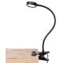 LEPOWER Clip on Light/Reading Light/Light Color Changeable/Night Light Clip on for Desk, Bed Headboard and Computers (Black)