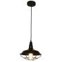 WBinDX Industrial Pendant Light, Black Vintage Cage Barn Light Farmhouse Lamp Hanging Ceiling Light Fixture for Kitchen Dining Room Hallway, 10 Inches