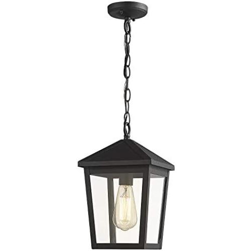 Zeyu Outdoor Pendant Light, Exterior Hanging Light Ceiling Lantern for Hallway Porch, Black Finish with Clear Glass, 20076H