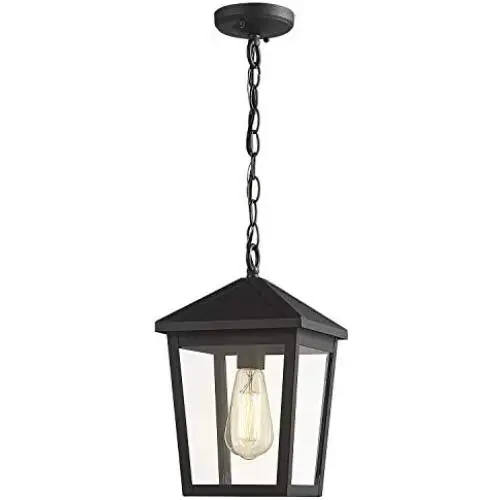 Zeyu Outdoor Pendant Light, Exterior Hanging Light Ceiling Lantern for Hallway Porch, Black Finish with Clear Glass, 20076H