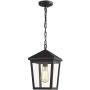 Zeyu Outdoor Pendant Light, Exterior Hanging Light Ceiling Lantern for Hallway Porch, Black Finish with Clear Glass, 20076H