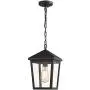 Zeyu Outdoor Pendant Light, Exterior Hanging Light Ceiling Lantern for Hallway Porch, Black Finish with Clear Glass, 20076H