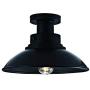 Addington Park 31801 Seascape Collection 1-Light Contemporary Barnyard Outdoor Flush Mount, Black