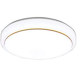 Nordic Style LED Ceiling Light Round Simple Ceiling Lamp Decorative Light for Dining Room Balcony Bedroom