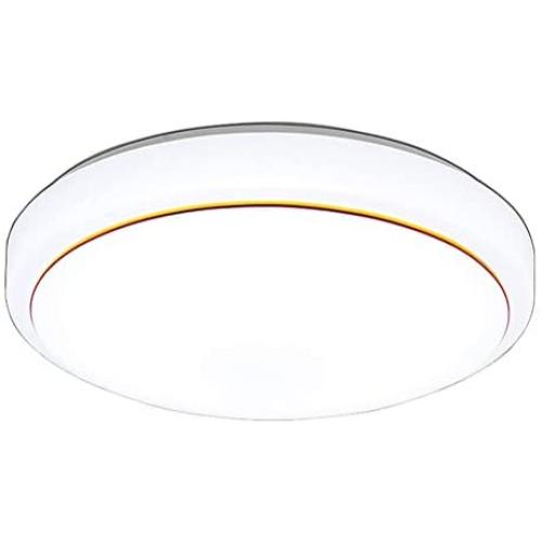 Nordic Style LED Ceiling Light Round Simple Ceiling Lamp Decorative Light for Dining Room Balcony Bedroom Nordic Style LED Ceiling Light Round Simple Ceiling Lamp Decorative Light for Dining Room Balcony Bedroom