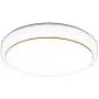 Nordic Style LED Ceiling Light Round Simple Ceiling Lamp Decorative Light for Dining Room Balcony Bedroom
