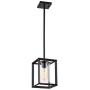 Garwarm 1 Light Rustic Pendant Lighting for Dining Room Farmhouse Kitchen Island Chandelier Modern Cage Hanging Fixtures with Glass Shade Black