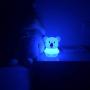 Big Size Night Lights Kid, Bedside lamp, Bedroom Light, LED Lights, Baby Nursery lamp, Break Resistant, Eye Caring, Adjustable Brightness & Color and Time setting, Touch + Remote Control - Large Koala