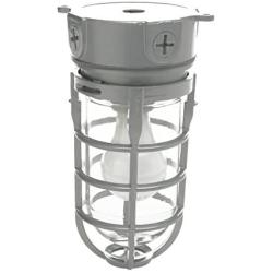 Woods Vandal Resistant Security Light With Ceiling Mount (150W Incandescent Bulb, Silver)