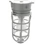 Woods Vandal Resistant Security Light With Ceiling Mount (150W Incandescent Bulb, Silver)