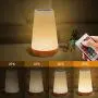 Table Lamp Touch Night Light - Portable Sensor Remote Control Bedside Lamps with Quick Rechargeable USB Dimmable Warm White Light 13 Colors RGB Table Lamp for Bedroom Living Room Office (White)