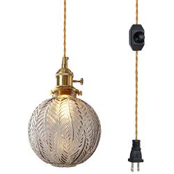 SKIVTGLAMP Hanging Swag Lamp no Wiring Needed Pendant Light with 15ft Plug-in Switch Gold Braided Cord Dimmable Pendant Light Clear Glass Globe Lamp Shade Copper Lamp Holder for Reading Room