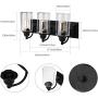 3-Light Vanity Light Fixture Modern Clear Glass Shades Lighting Black Dining Room Lighting Fixtures (3-Light)