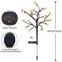 Solar Garden Lights Outdoor - 2 Pack Warm White Cherry Blossoms Flower Lights for Yard,Lawn,Pathway,Backyard,Christmas,Party