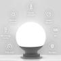 G25 Globe Light Bulbs, 8 Pack LED Vanity Light 5000K Daylight for Bathroom Vanity Makeup Mirror,Winshine LED Bedroom Lights E26 Medium Screw Base 5W 60W Equivalent,500LM, Non-dimmable