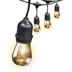 FEIT ELECTRIC 72041 30 Foot Heavy-duty Weather resistant Decorative indoor and outdoor 10 Sockets Incandescent String Lights, 30, 11W, Dimmable,Black