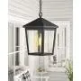 Zeyu Outdoor Pendant Light, Exterior Hanging Light Ceiling Lantern for Hallway Porch, Black Finish with Clear Glass, 20076H