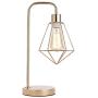 SOTTAE Industrial Gold Cage Table Lamp , cage Desk lamp Vintage Table Lamp Rustic Beside Lamp Rustic Desk Lamp Modern Table Lamp Metal Nightstand Lamp Bedside lamp for Bedroom,Living Room