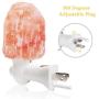 Natural Himalayan Salt Lamp, Waynewon Plug in Hand Carved Crystal Night Light – Best Living Room, Bathroom, Hallway Light [2 Color Bulbs]