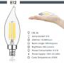 E12 Candelabra LED Bulbs Dimmable 60W Equivalent LED Chandelier Light Bulbs 4.5W Soft White 2700K 500LM B10 Flame Tip Vintage LED Filament Candle Bulb with Decorative Candelabra Base, 12 Packs
